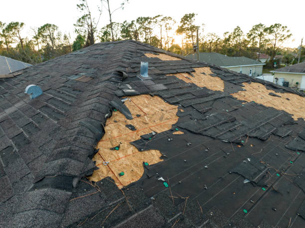 Professional Roofing in Williamsburg, OH