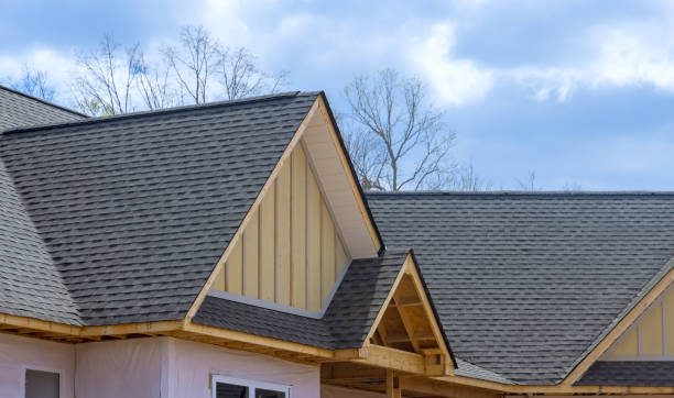 Best Skylight Installation and Repair  in Williamsburg, OH