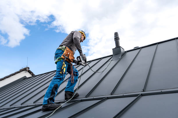 Best Steel Roofing  in Williamsburg, OH