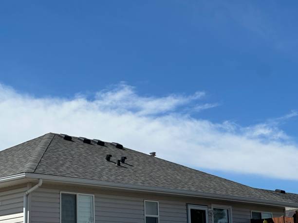  Williamsburg, OH Roofing Pros